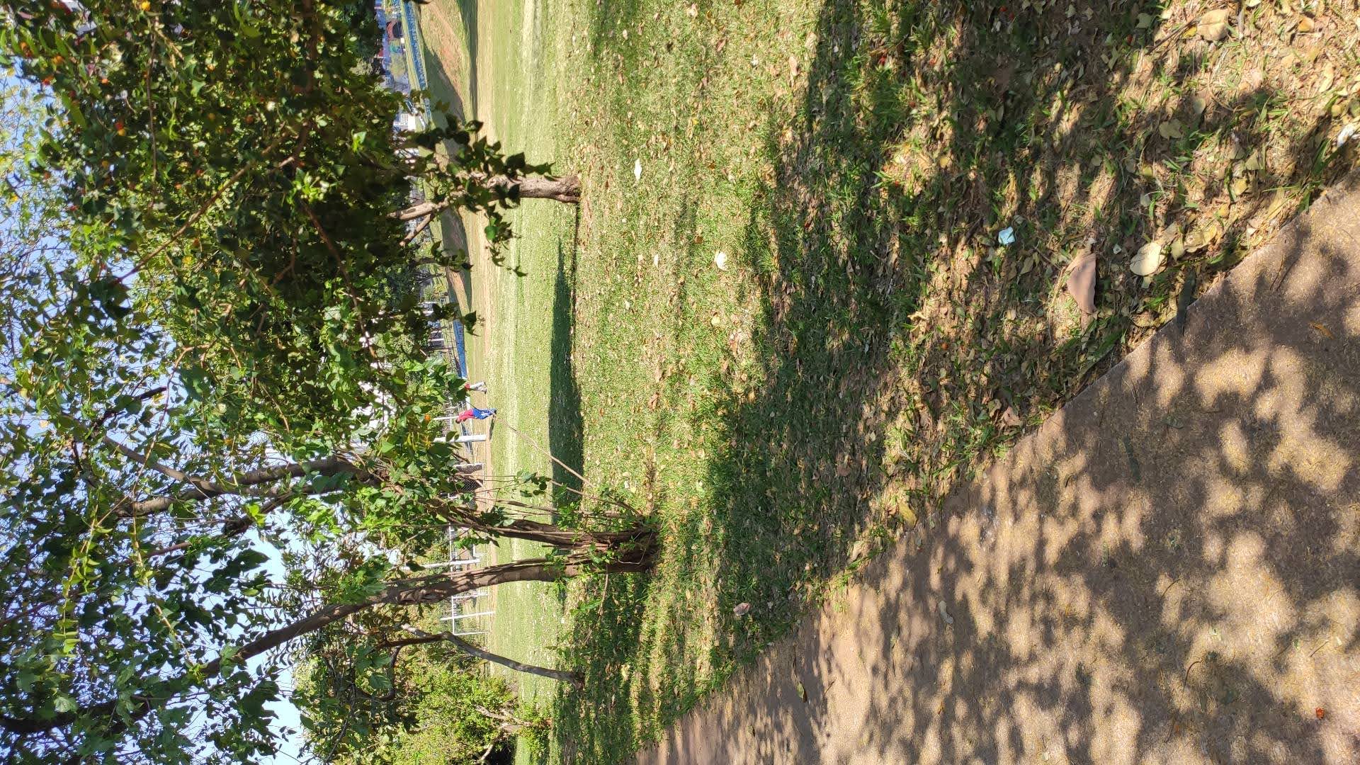 IMG_20200909_151444.jpg