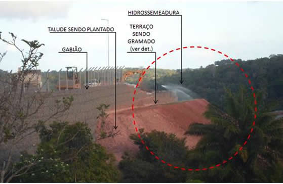 rectecbioeng.jpg