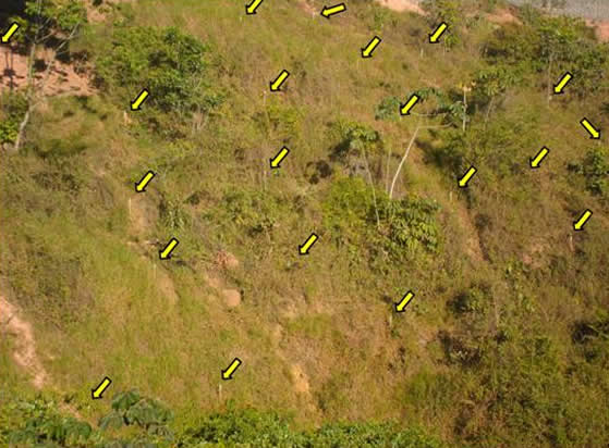 arearisco.jpg